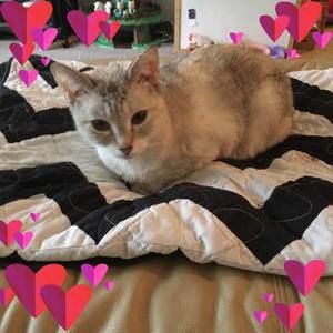 Meet your Posher, Judy